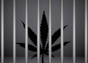 Das Marihuanaverbot und seine Konstruktion