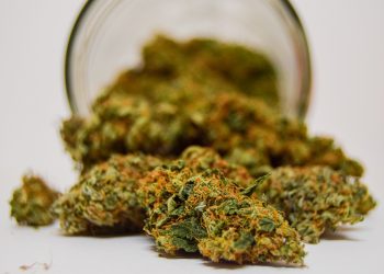 Die Lieferengpässe gehen weiter