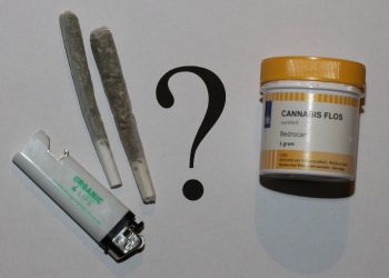 Ungenügende Lizenzvergabe für den Marihuanaanbau