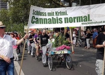 Ernst Schmidbauer: Patient und Legalize Aktivist