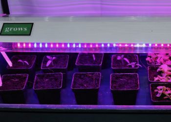 Die i-grows LED Easdesy Hydro Vario