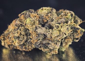 Cannabis gegen die GKV