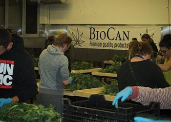 Happy Croptober – Ein Tag bei Bio Can