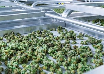 In Colorado ging  die Welt nicht unter