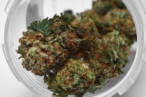 Cannabis ve THC'nin Diğer İlaçlarla Etkileşimleri