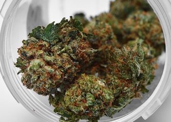 Wechselwirkungen von Cannabis und THC mit anderen Medikamenten