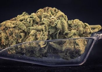 Wo ist welche Art von  Cannabiskonsum legal?