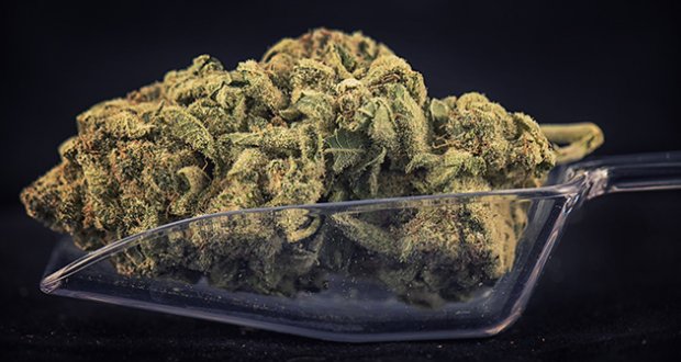 Wo Ist Welche Art Von Cannabiskonsum Legal Internationale