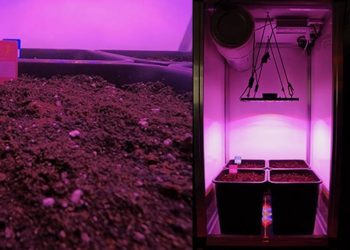 Grow Report: G-Tools Bonanza Tischmodell