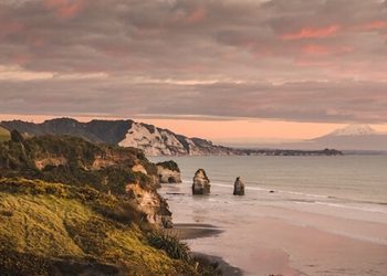 Neuseeland erwägt die Legalisierung von Cannabis