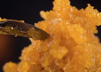 Konzentriert, konzentrierter, Konzentrat!