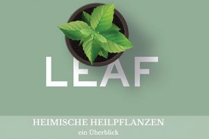 Es wächst, was gebraucht wird!