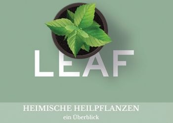 Es wächst, was gebraucht wird!