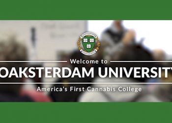 Studium mit POTenzial
