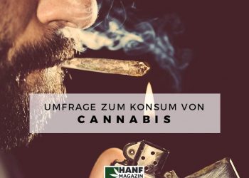 Wie konsumierst du Cannabis am liebsten?
