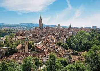 Schweizer CBD-Gras: Die Preise sind im Keller