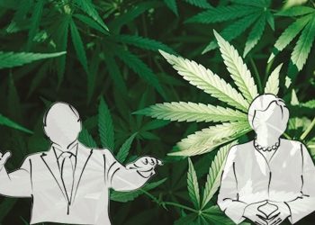 Auswirkungen einer großen Koalition auf die Legalisierung in Deutschland