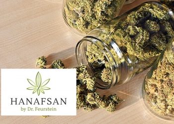 Neuer CBD-PopUp Store in Vorarlberg