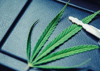 Verkehrsgerichtstag: Fluch und Segen