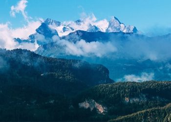 Schweiz: Bundesrat fordert Cannabis-Modellversuch