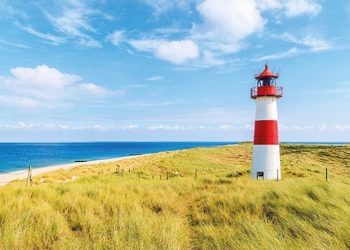 Cannabis statt Tomaten – Die Dänen ziehen nach