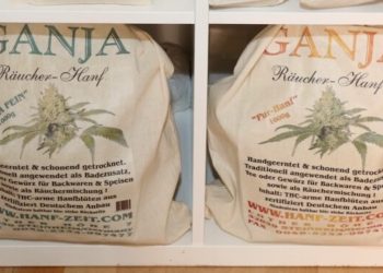 Marihuanaboom: Alle waren zu gierig