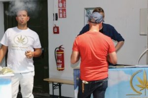 Test antidroga positivo a causa del CBD?