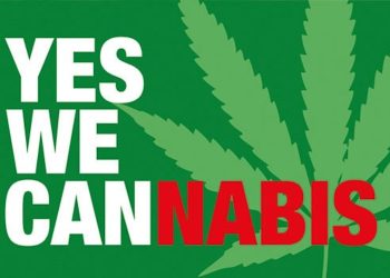 Die Linke fordert das Ende des Cannabis-Verbots
