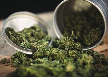 Ein Cannabis-Lieferdienst für Graz