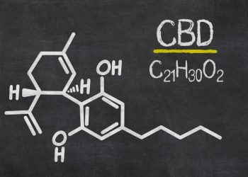 Krankheiten vorbeugen mit CBD