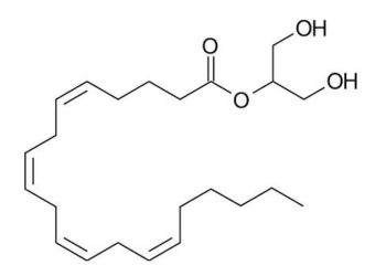 Endogene Cannabinoide