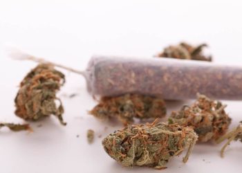 Kann ich wegen eines „Kiffer-Fotos“ bei Facebook Ärger mit dem Gesetz bekommen?