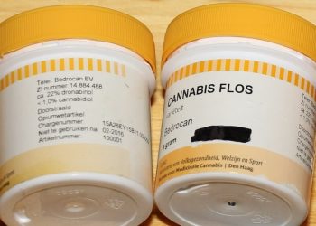 Medizinischer Cannabis Anbau steht still