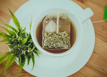 Strafbarkeit von Cannabisprodukten in Deutschland & Österreich