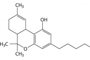Tetrahydrocannabinol medizinisch anwenden