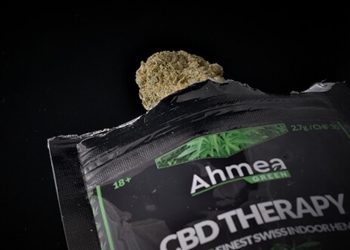 Sortenreview: CBD Therapy von Ahmea GREEN