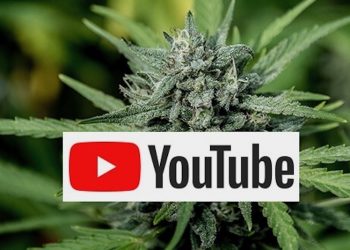 YouTube beschneidet die Aufklärung