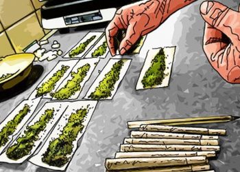 Interview mit Fabienne Lopez von Principes Actifs