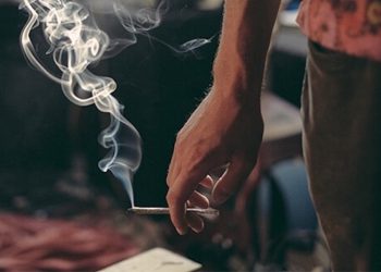 Das Bußgeldmodell der Drogenbeauftragten