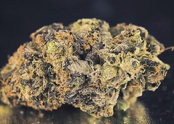 Aurora Cannabis Inc. präsentiert neues Unternehmen für den deutschen Markt: Cannabis Klenk