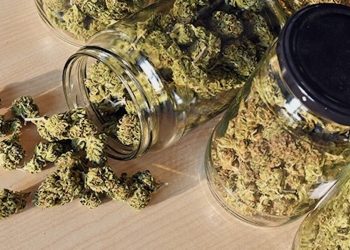 Österreich prüft Zulassung von medizinischem Cannabis