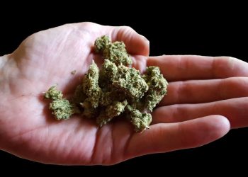 Aphria beklagt teuren Preis für medizinisches Cannabis in Deutschland