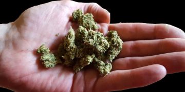 Flohmarkt Cannabispatienten