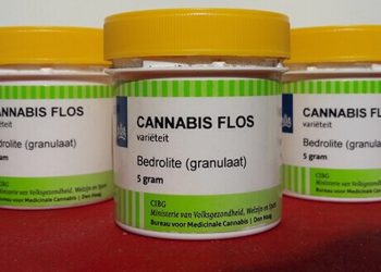 Strainreview: Bedrolite von Bedrocan