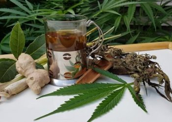 Hanftee – Rezepte und Zubereitung