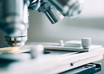 Die Rolle von CBD bei der Behandlung von Bauchspeicheldrüsenkrebs