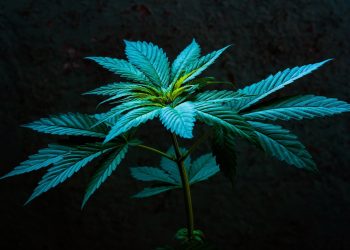 Klinischer Endocannabinoidmangel