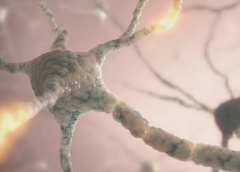 CBD und seine Bioverfügbarkeit – CBD richtig verstoffwechseln