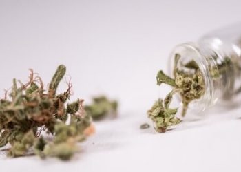 Bundesversicherungsamt äußert sich zu Kostenübernahme der Krankenkassen