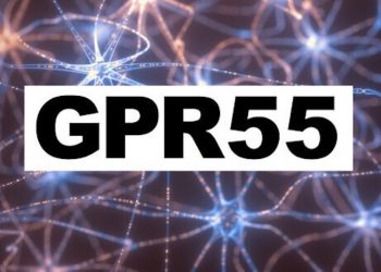 GPR55 – Der neue Cannabinoid-Rezeptor